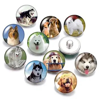 Милые собачьи кнопки Love pet 18 мм, 10 шт., смешанный круглый кабошон из фотостекла для ювелирных изделий с кнопками
